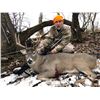 Image 4 : Wyoming Rifle Whitetail Deer Hunt