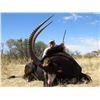 Image 1 : South African Sable Combo Package for 2 Hunters