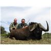 Image 2 : South African Sable Combo Package for 2 Hunters