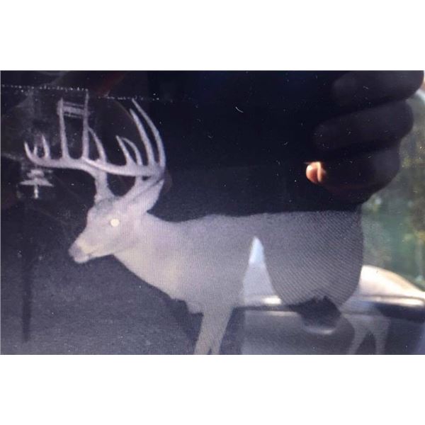 Oklahoma Rifle Whitetail Hunt