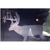 Image 1 : Oklahoma Rifle Whitetail Hunt