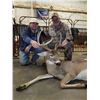Image 3 : Oklahoma Rifle Whitetail Hunt