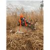 Image 4 : Oklahoma Rifle Whitetail Hunt
