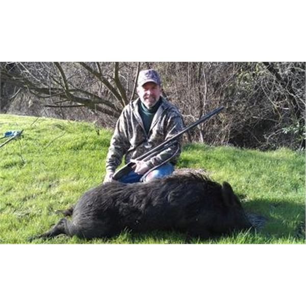 Calif Pig Hunt for 4 Hunters