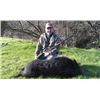 Image 1 : Calif Pig Hunt for 4 Hunters