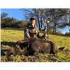 Image 3 : Calif Pig Hunt for 4 Hunters