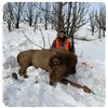 Image 1 : Utah DIY Cow Elk Hunt