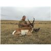 Image 3 : Wyoming Rifle Antelope Buck Hunt