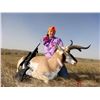 Image 5 : Wyoming Rifle Antelope Buck Hunt