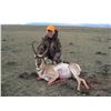 Image 6 : Wyoming Rifle Antelope Buck Hunt
