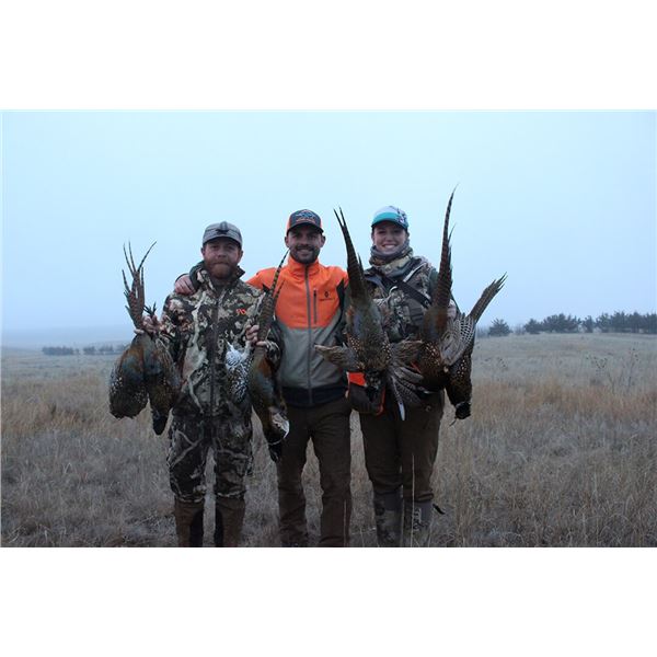 Nebraska Wild Pheasant Hunt for 3