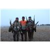 Image 1 : Nebraska Wild Pheasant Hunt for 3