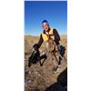 Image 3 : Nebraska Wild Pheasant Hunt for 3
