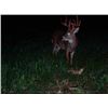 Image 3 : Nebraska Whitetail Muzzleloader Hunt for 2