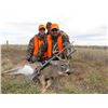 Image 5 : Nebraska Whitetail Muzzleloader Hunt for 2