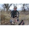 Image 6 : Nebraska Whitetail Muzzleloader Hunt for 2