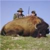 Image 4 : California Buffalo Hunt