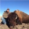 Image 5 : California Buffalo Hunt