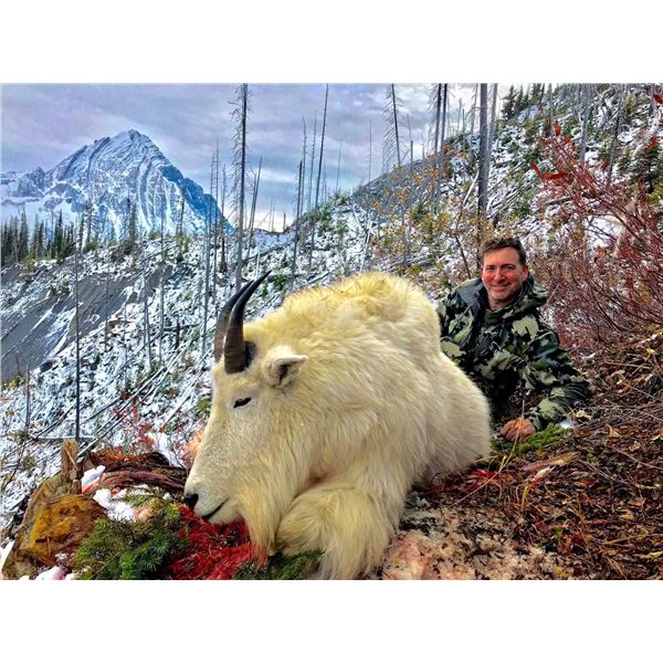 BC Mountain Goat Hunt