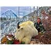 Image 1 : BC Mountain Goat Hunt