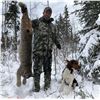 Image 4 : British Columbia Lynx Hunt