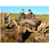 Image 1 : Alaska Moose Hunt Drop Camp For 2