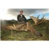 Image 3 : Alaska Moose Hunt Drop Camp For 2