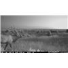 Image 5 : Colorado Guided Archery Bull Elk Hunt