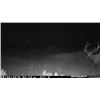 Image 6 : Colorado Guided Archery Bull Elk Hunt