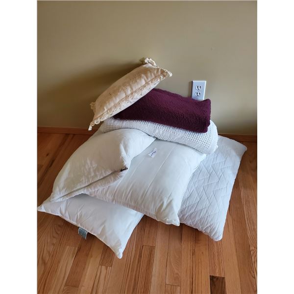 Misc. Pillows and Décor