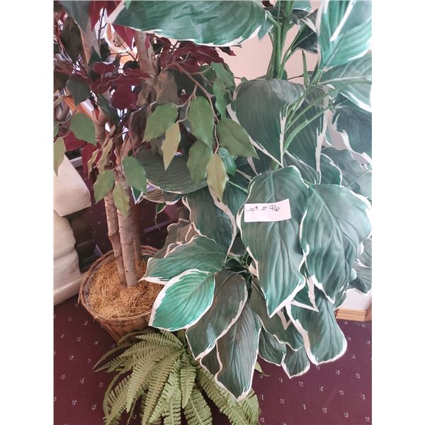 Silk Trees and Plants