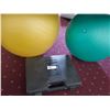 Image 1 : Barbell Set and Yoga Balls