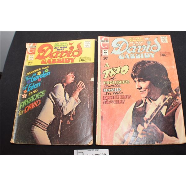 DAVID CASSIDY COMICS