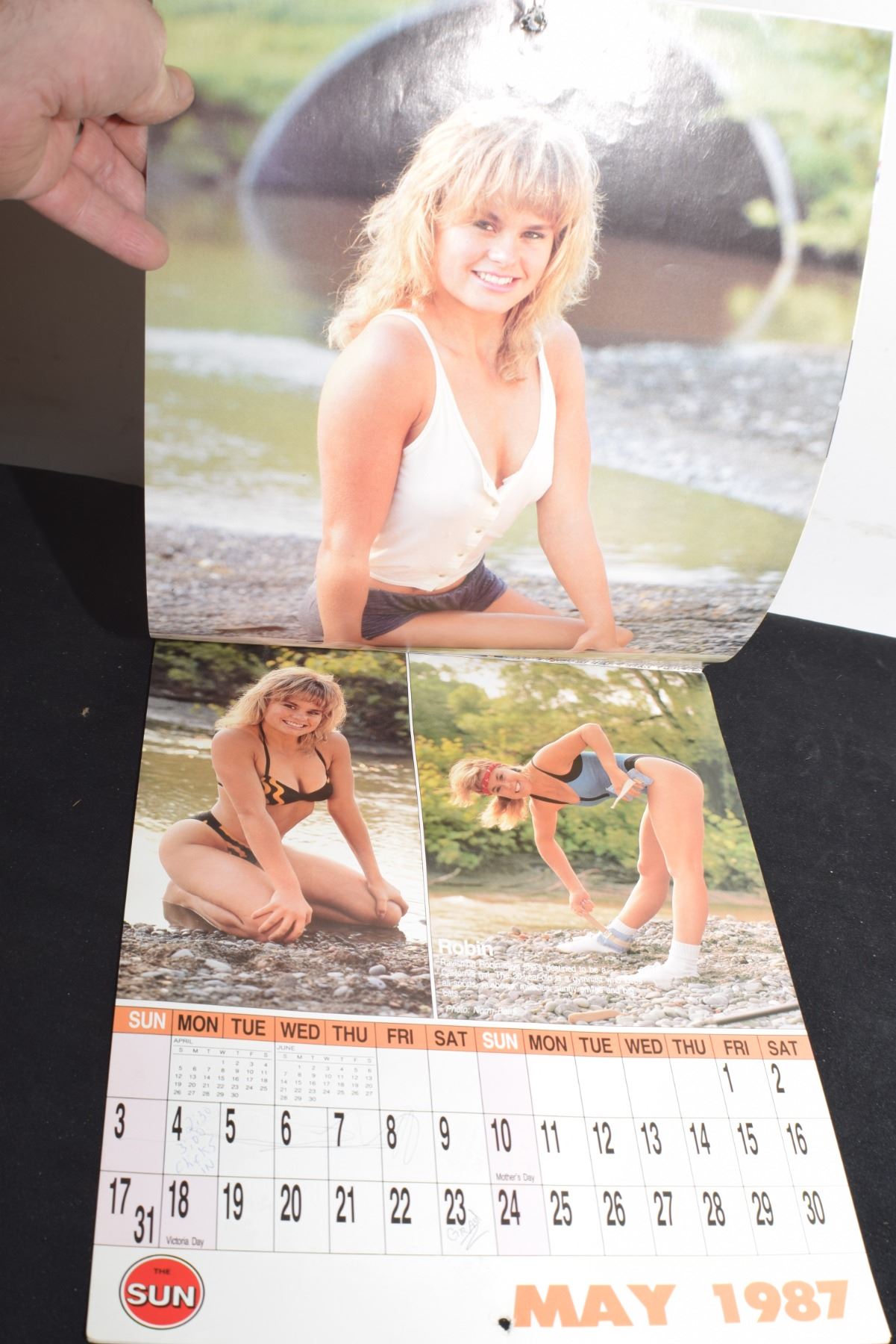 1987 SUNSHINE GIRL CALENDAR Bodnarus Auctioneering 1987-sunshine-girl-calendar-bodnarus-auctioneering