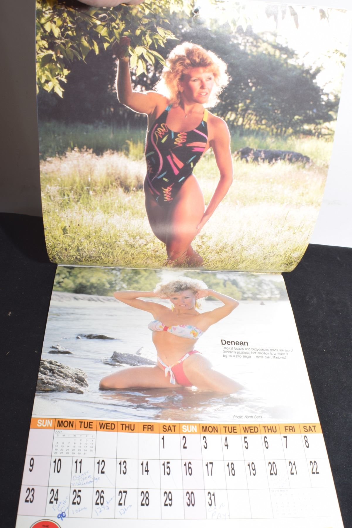 1987 SUNSHINE GIRL CALENDAR Bodnarus Auctioneering 1987-sunshine-girl-calendar-bodnarus-auctioneering