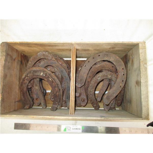 Wooden Box Full of Vintage Horseshoes