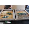 Image 1 : Sask Roughriders Tin Framed Pictures in Frames