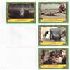 Image 7 : 31 O-Pee-Chee  - Raiders of the Lost Ark Cards
