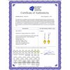 Image 2 : Genuine 19.02 ctw Citrine & Diamond Earrings 14KT White Gold - REF-51P9H