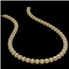 Image 2 : 20.35 ctw Diamond Micro Pave Necklace 18K Yellow Gold - REF-1600G4W