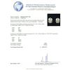 Image 3 : 14KT White Gold 0.98 ctw Diamond Solitaire Earrings