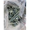 Image 2 : 3 Pails Colvert Bolts - 112"- 13x 6, 150 Bolt Pail