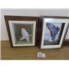 Image 1 : Paper Tulle Owl & Eagle Pictures in Beautiful Frames 17" x 15" & 18" x 14"