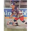 Image 2 : TEEMU Selanne Picture 22" x 34"