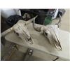 Image 1 : 2 Cow Skulls