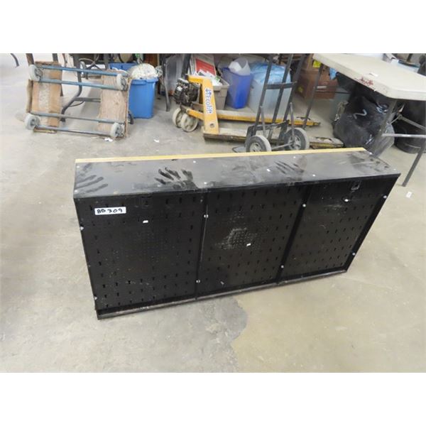Shop Cabinet 24" x 47" x 9"