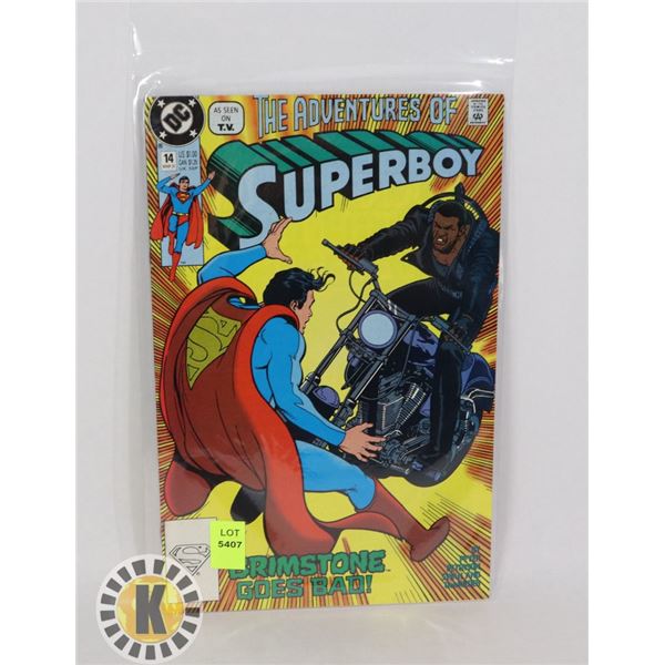 THE ADVENTURE OF SUPERBOY #14 MAR 91'