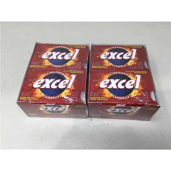 Excel Cinnamon Gum (2 x 12 x 12)