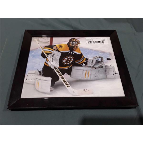 Boston Bruin Jaroslav Halák Photo