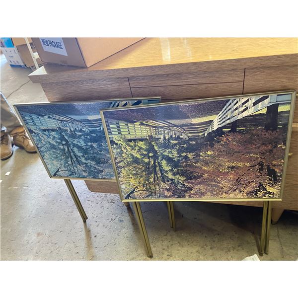 Two vintage TV trays